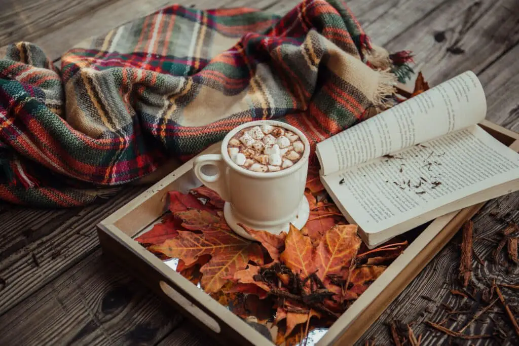 hot chocolate and a book on a tray with autumn leaves next to a thick, cosy blanket