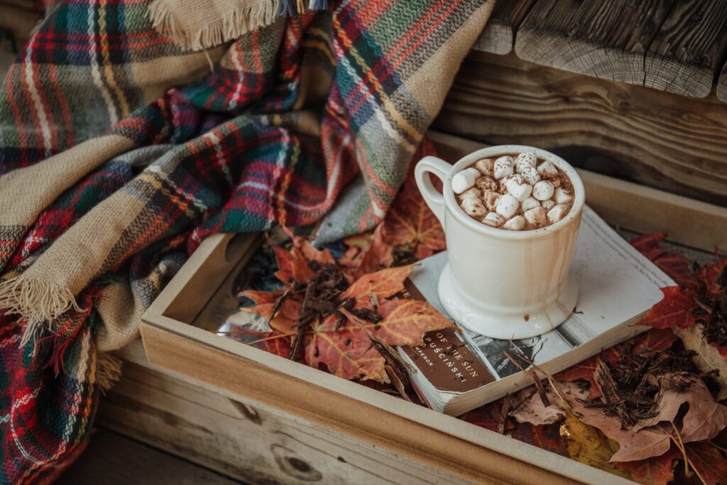 A mug of hot chocolate with marshmallows melting on top on a wooden tray surrounded by leaves and a picnic blanket