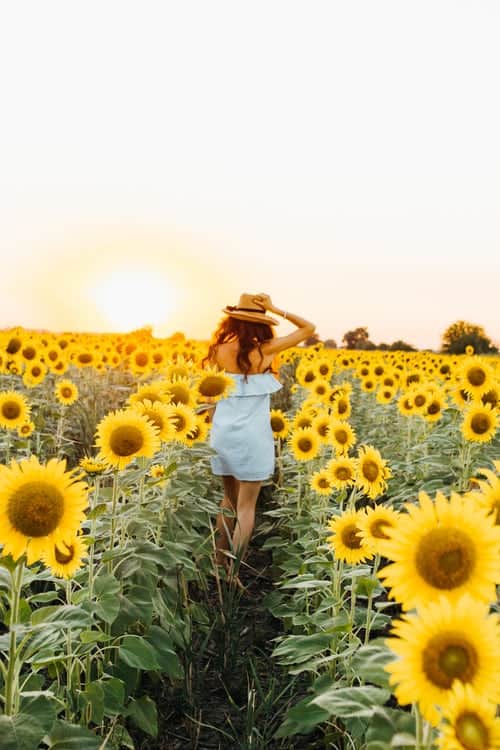 A girl in a field of sunflowers