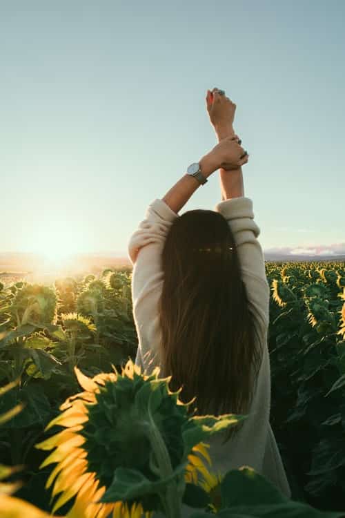 woman standing in a field of sunflowers, arms stretched above her head during a sunrise
