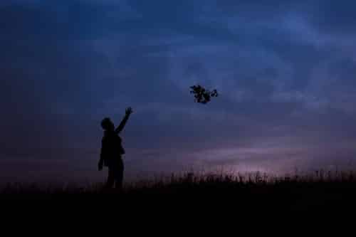 The silhouette of a person throwing a bouquet of flowers in the night sky