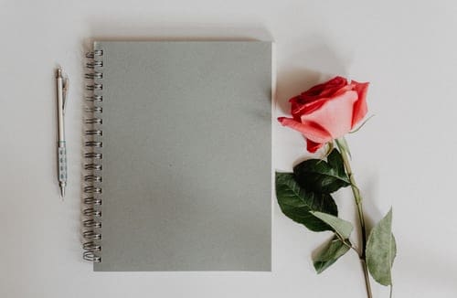 A journal, a pen and a rose on a table